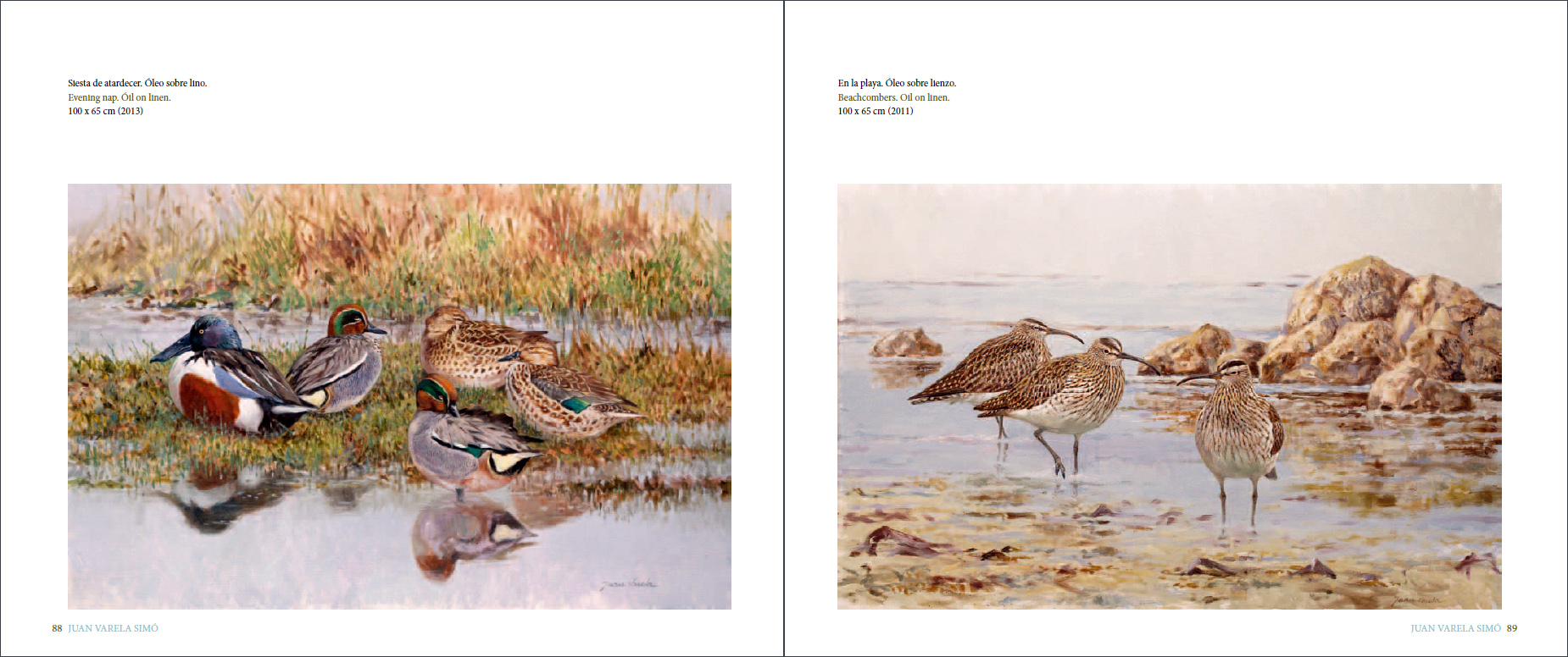 Sample page of La forma del viento / Shaped by the wind La forma del viento / Shaped by the wind sample page